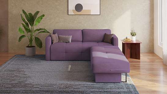 Sofa Cum Beds