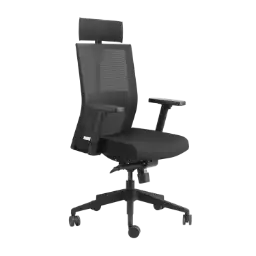 Aero Chair Large Seat High Back Fabric Workspace Chair Black Godrej Interio