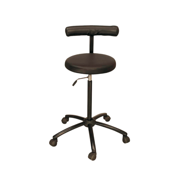 Lab Stool with Back Support, Laboratory Accessories