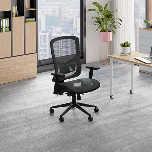 Exceed Full Seat and Back Mesh Ergonomic Office Chair (Black Ink)
