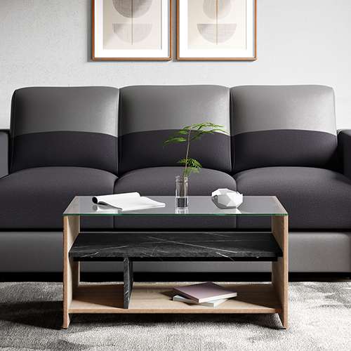 Orth Coffee Table
