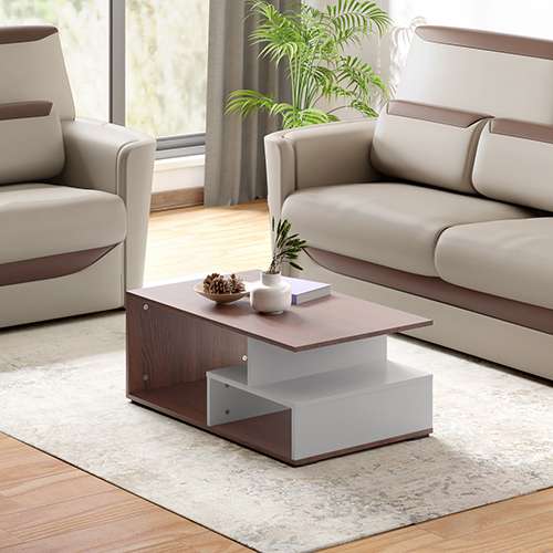 Ewa Engineered Wood Coffee Table