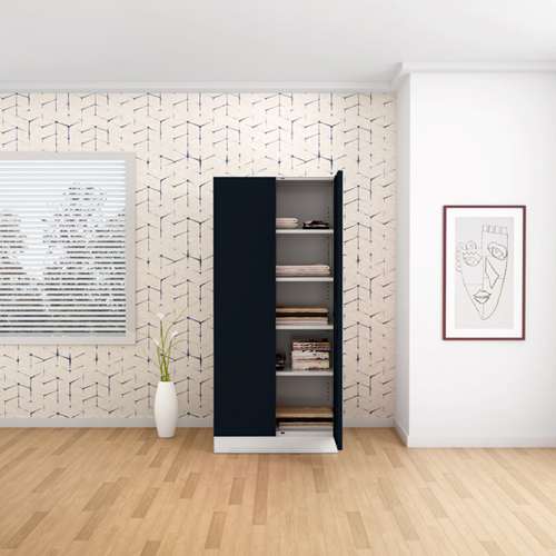 GODREJ INTERIO Slimline Fantasia 2 Door Steel Almirah with 4 Shelves in  Dark Wood : : Home & Kitchen