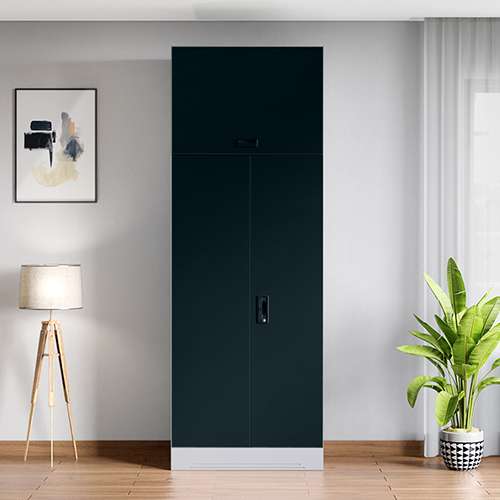Buy Slimline 2 Door Steel Almirah Godrej Interio