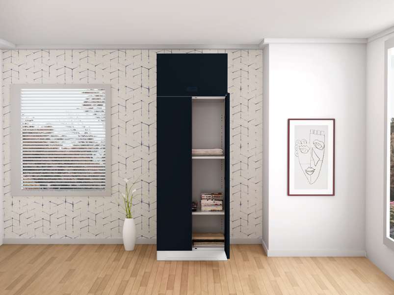 Godrej interio slimline 2 door 4 shelf metal almirah deals