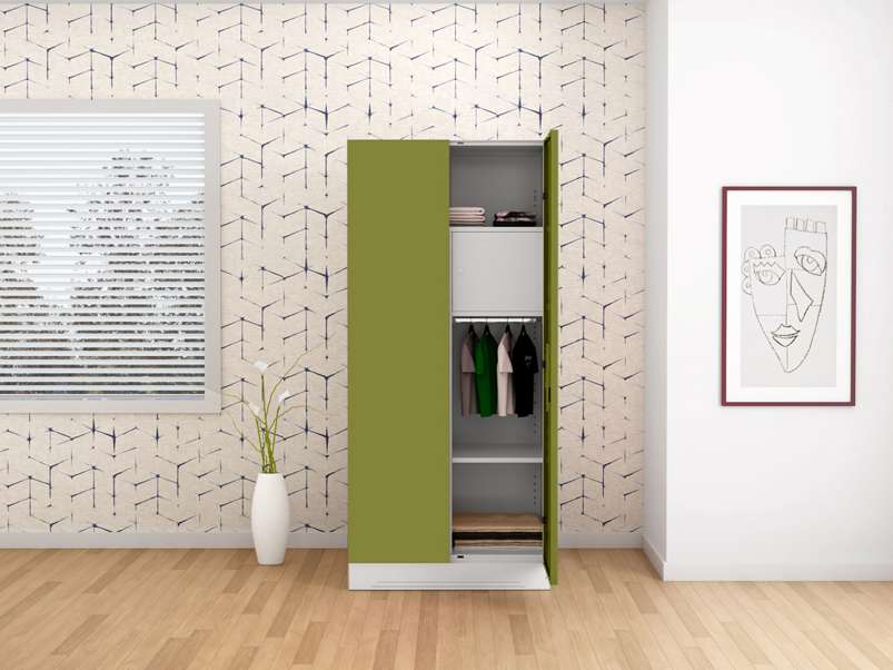 Buy Godrej Slimline 2 Door Steel Almirah Locker in Tex Green Leaf